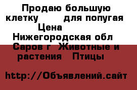 Продаю большую клетку Triol для попугая › Цена ­ 1 500 - Нижегородская обл., Саров г. Животные и растения » Птицы   